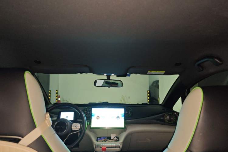 Used BYD Dolphin 2021 405 km Free Version Headliner