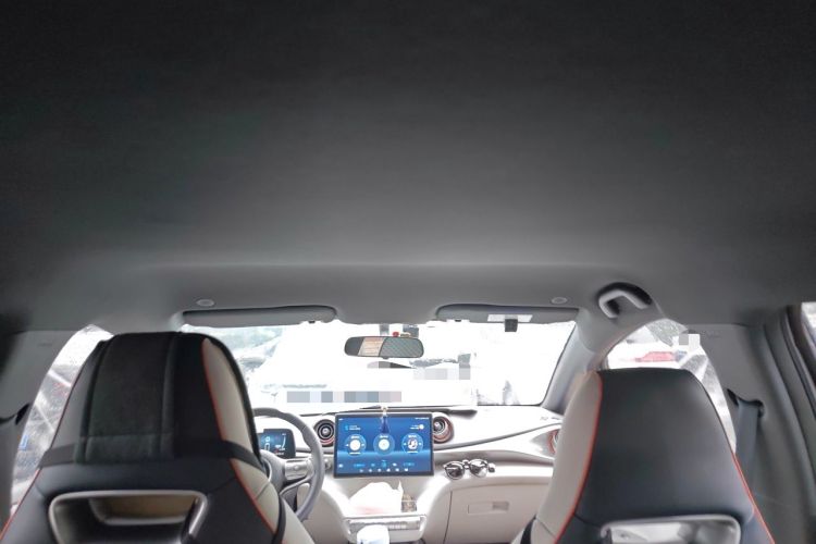Used BYD Dolphin 2021 405 km Free Version Headliner