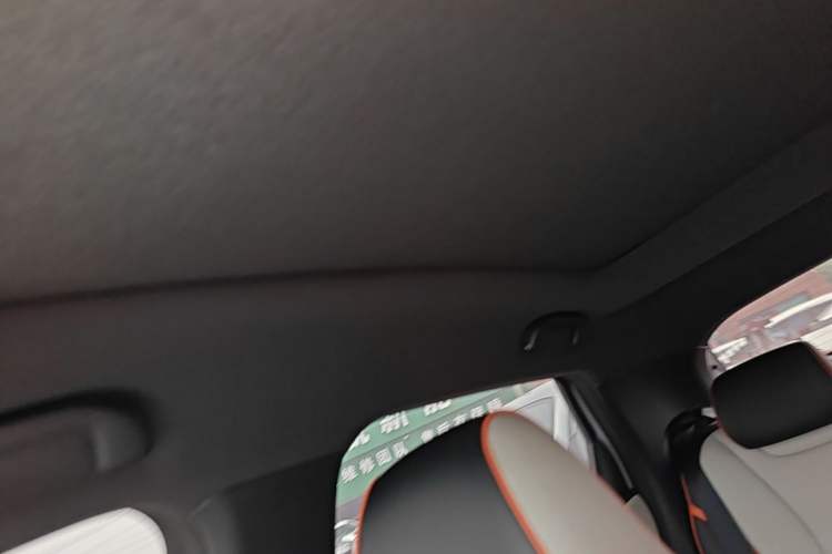Used BYD Dolphin 2021 405 km Fashion Edition Headliner