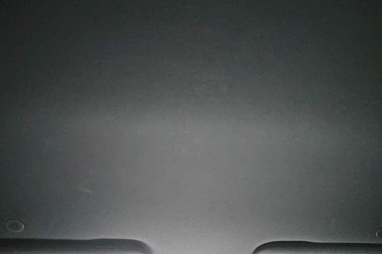 Used BYD Dolphin 2021 405 km Free Version Headliner