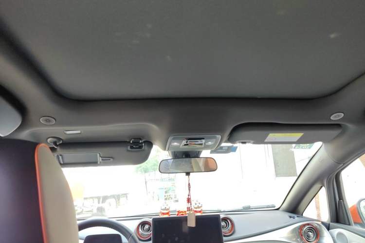 Used BYD Dolphin 2021 405 km Fashion Edition Headliner