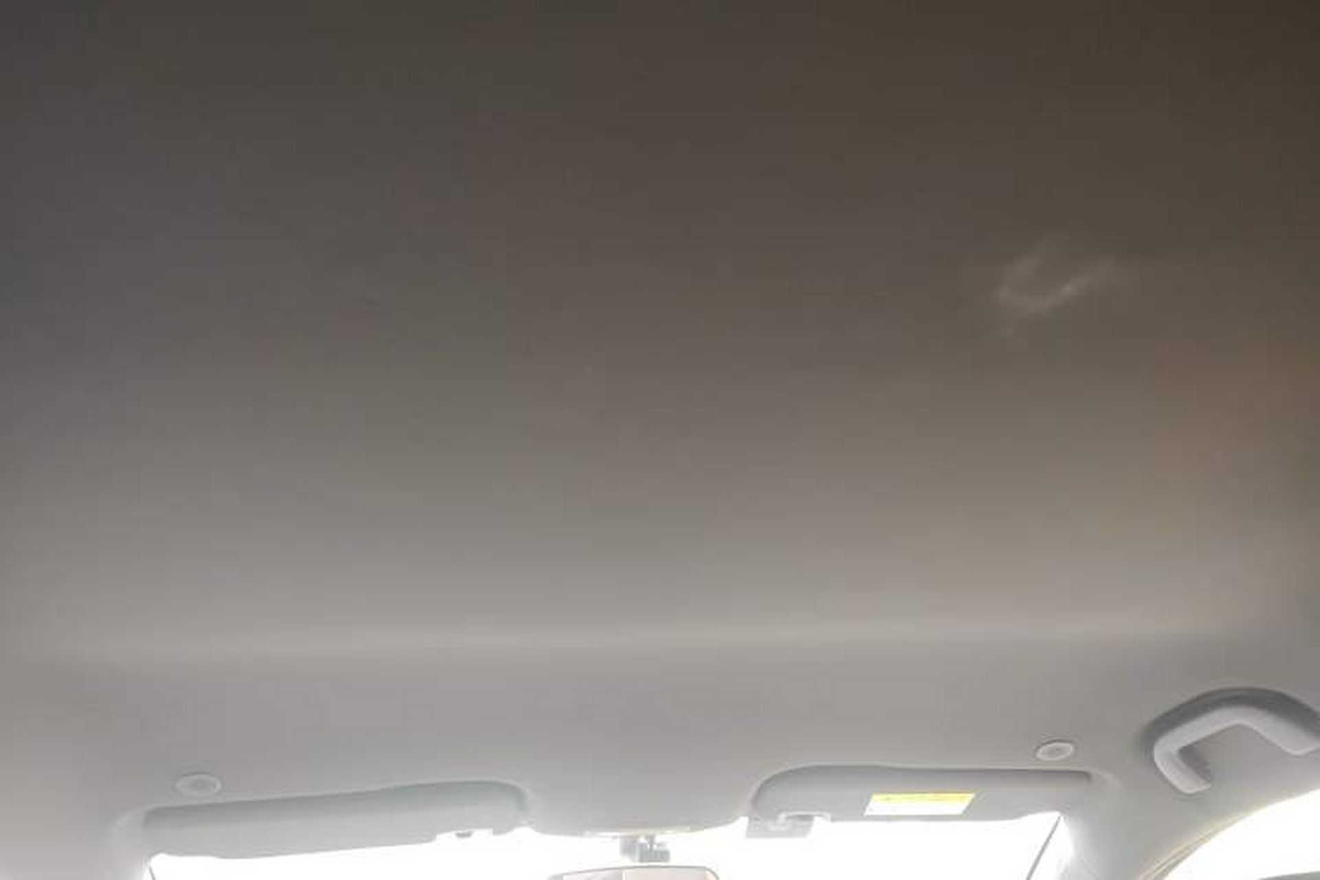 Used BYD Dolphin 2021 405 km Free Version Headliner