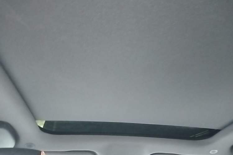 Used BYD Dolphin 2021 405 km Fashion Edition Headliner