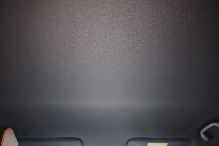 Used BYD Dolphin 2021 405 km Free Version Headliner