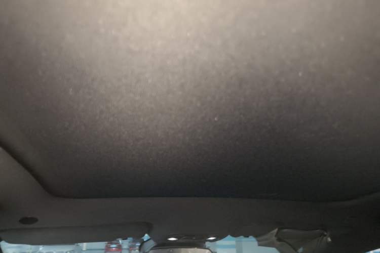 Used BYD Dolphin 2021 401km Knight Edition Headliner
