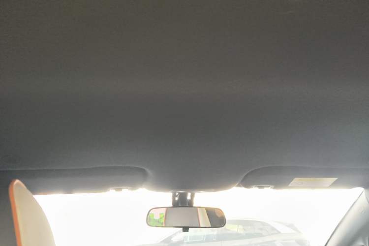 Used BYD Dolphin 2021 405 km Free Version Headliner