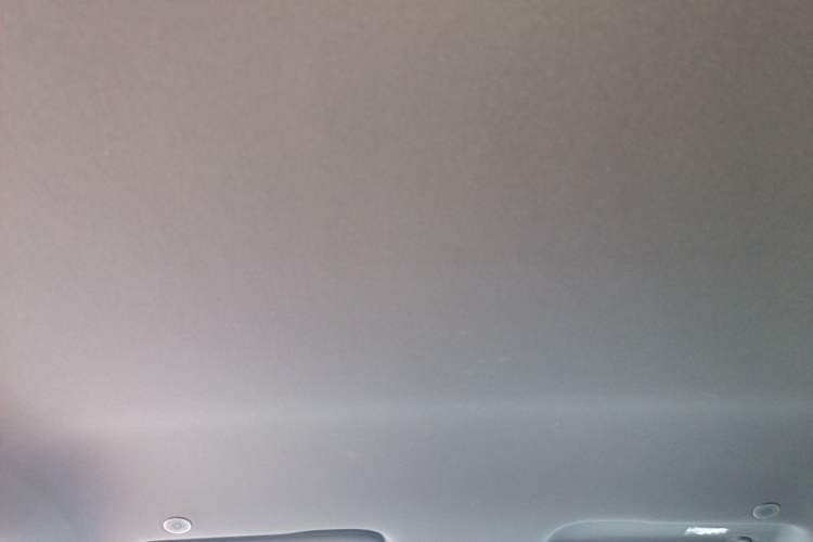 Used BYD Dolphin 2021 405 km Free Version Headliner