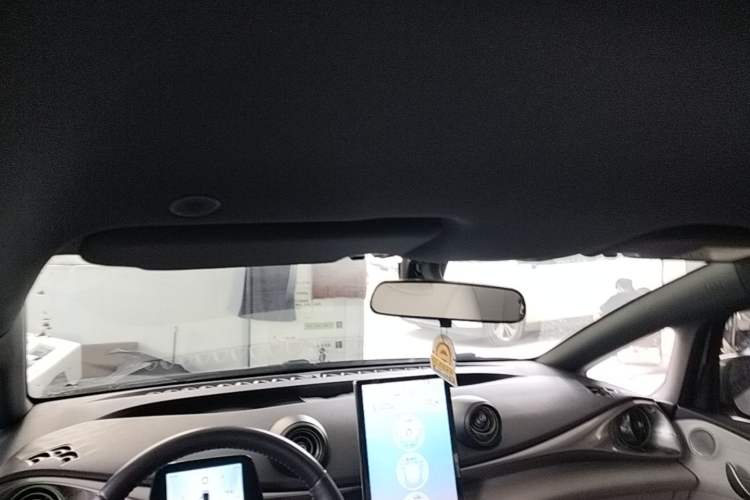 Used BYD Dolphin 2021 405 km Free Version Headliner