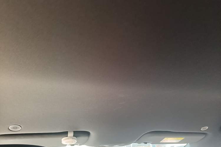 Used BYD Dolphin 2021 405 km Free Version Headliner