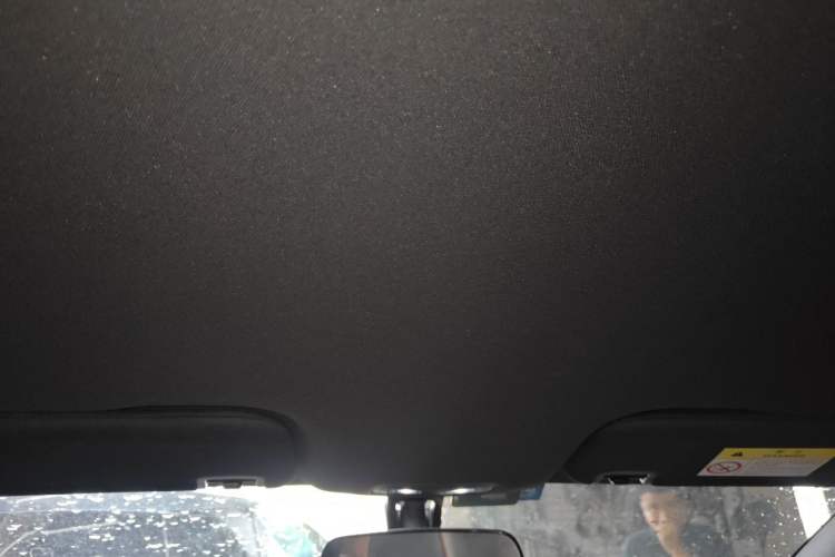 Used BYD Dolphin 2021 405 km Free Version Headliner