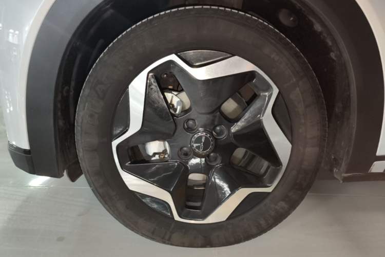 Used BYD Dolphin 2021 405 km Free Version Left Front Wheel Hub