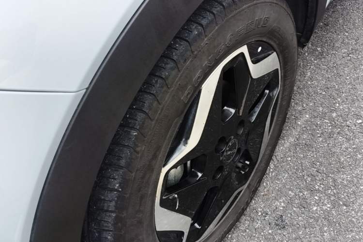 Used BYD Dolphin 2021 405 km Free Version Left Front Wheel Hub