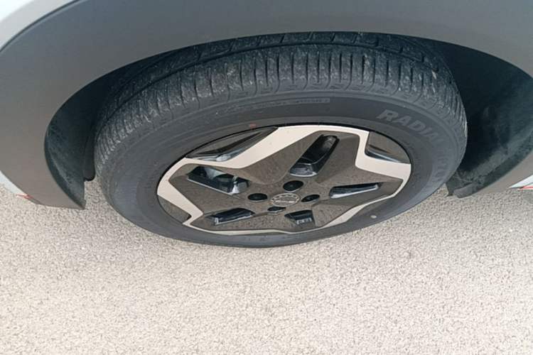 Used BYD Dolphin 2021 405 km Fashion Edition Left Front Wheel Hub