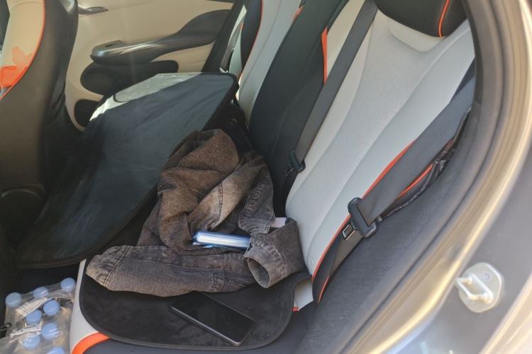 Used BYD Dolphin 2021 405 km Fashion Edition Left Rear Seat