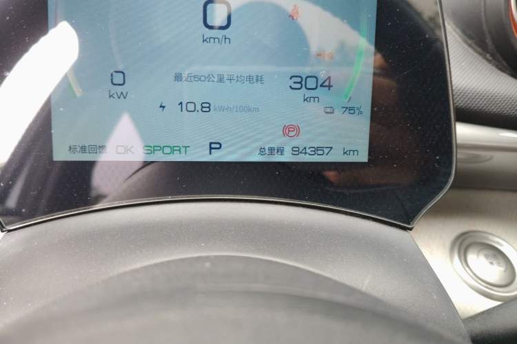 Used BYD Dolphin 2021 405 km Fashion Edition Odometer Close Up
