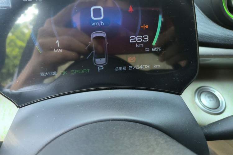 Used BYD Dolphin 2021 405 km Free Version Odometer Close Up