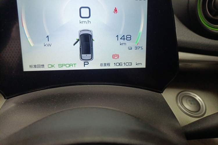 Used BYD Dolphin 2021 405 km Free Version Odometer Close Up