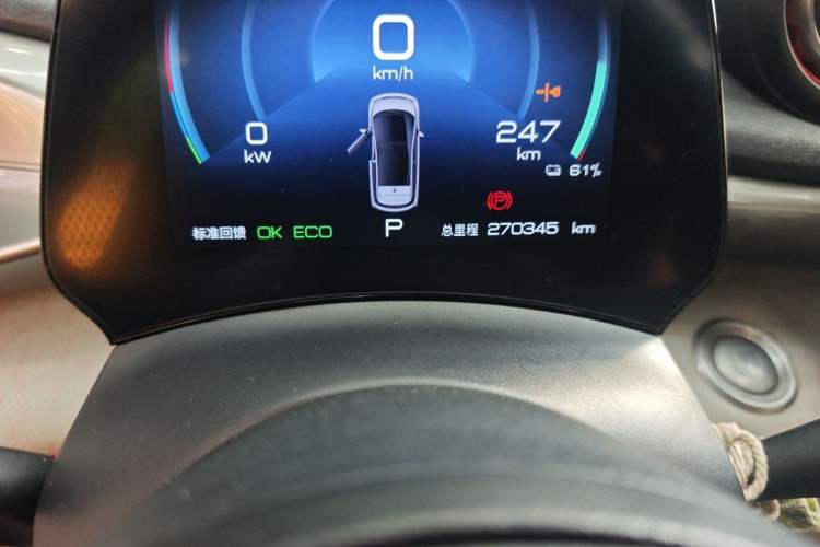 Used BYD Dolphin 2021 405 km Free Version Odometer Close Up