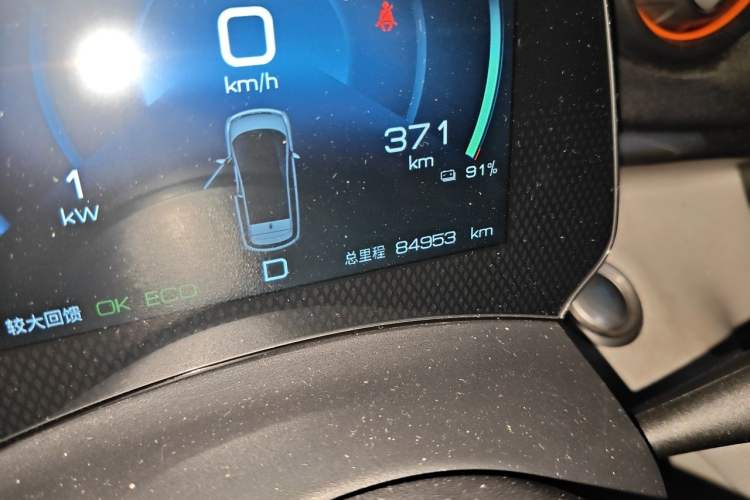 Used BYD Dolphin 2021 405 km Free Version Odometer Close Up