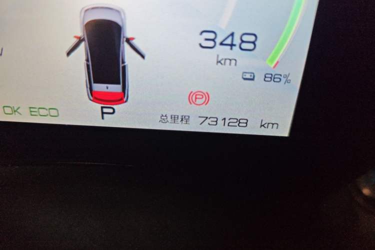 Used BYD Dolphin 2021 405 km Free Version Odometer Close Up