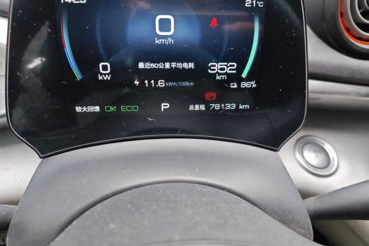 Used BYD Dolphin 2021 405 km Free Version Odometer Close Up