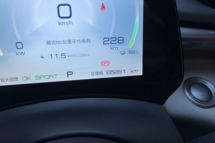 Used BYD Dolphin 2021 405 km Fashion Edition Odometer Close Up