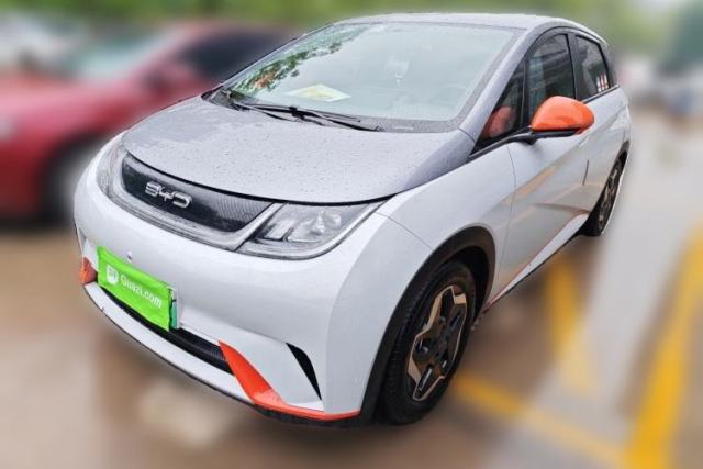 Used BYD Dolphin 2021 405 km Free Version