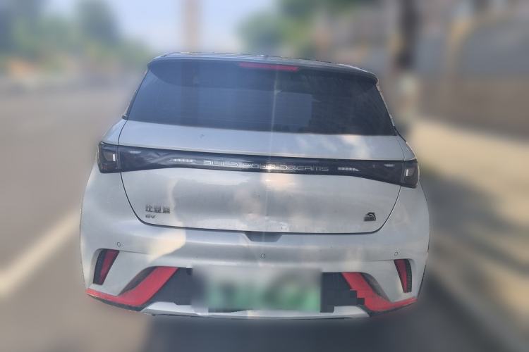 Used BYD Dolphin 2021 405 km Fashion Edition Rear