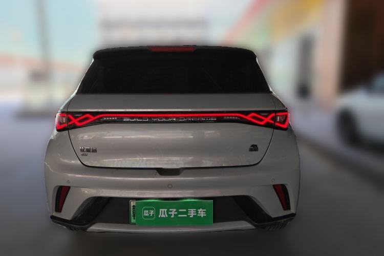Used BYD Dolphin 2021 405 km Fashion Edition Rear