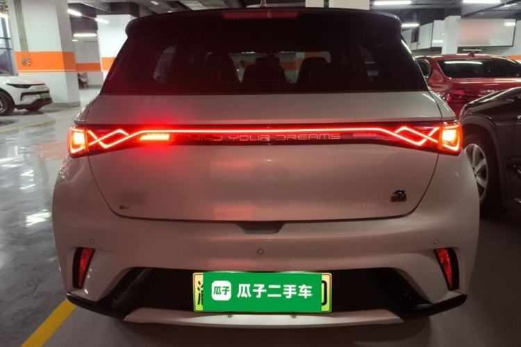Used BYD Dolphin 2021 405 km Free Version Rear