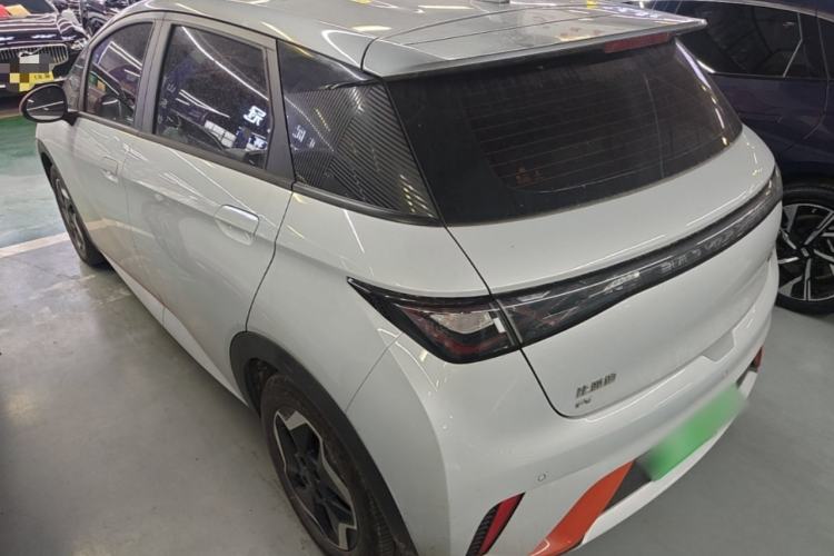 Used BYD Dolphin 2021 405 km Free Version Rear Left 45 Deg