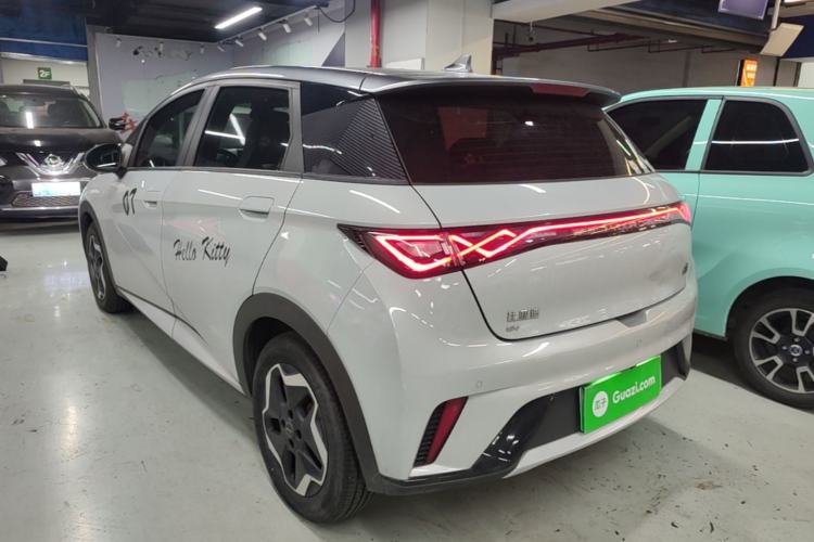Used BYD Dolphin 2021 405 km Fashion Edition Rear Left 45 Deg