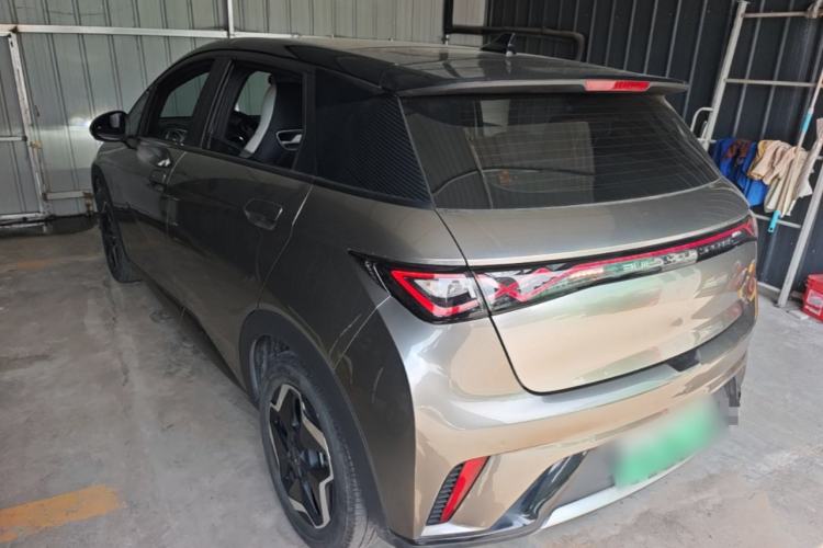 Used BYD Dolphin 2021 405 km Fashion Edition Rear Left 45 Deg