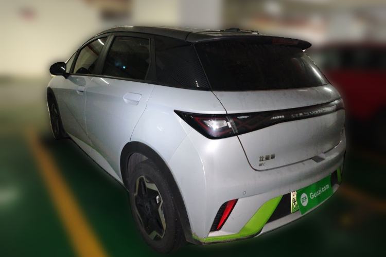 Used BYD Dolphin 2021 405 km Free Version Rear Left 45 Deg