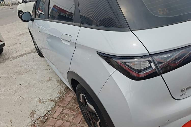 Used BYD Dolphin 2021 405 km Fashion Edition Rear Left 45 Deg