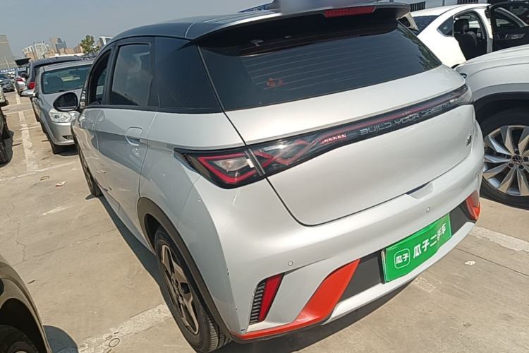 Used BYD Dolphin 2021 405 km Free Version Rear Left 45 Deg