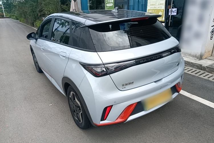 Used BYD Dolphin 2021 405 km Fashion Edition Rear Left 45 Deg