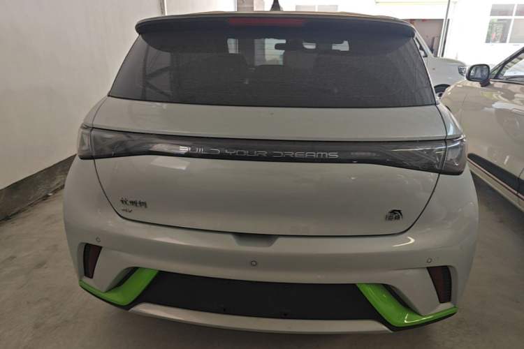 Used BYD Dolphin 2021 405 km Fashion Edition Rear