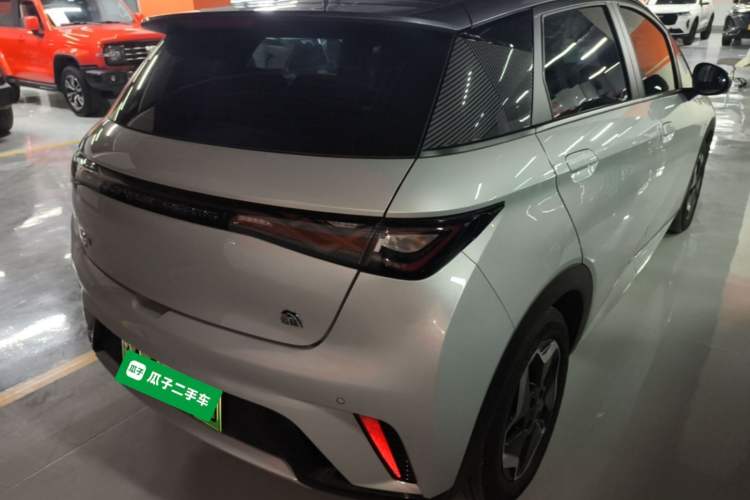 Used BYD Dolphin 2021 405 km Free Version Rear Right 45 Deg