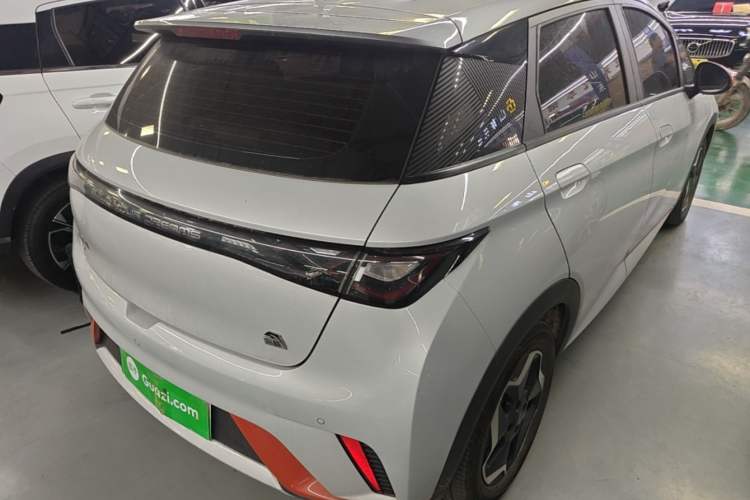 Used BYD Dolphin 2021 405 km Free Version Rear Right 45 Deg