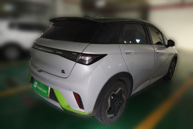 Used BYD Dolphin 2021 405 km Free Version Rear Right 45 Deg