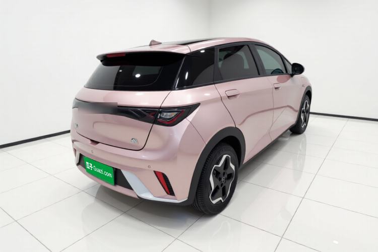 Used BYD Dolphin 2021 405 km Free Version Rear Right 45 Deg