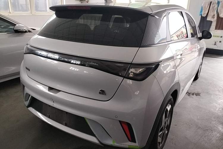 Used BYD Dolphin 2021 405 km Free Version Rear Right 45 Deg