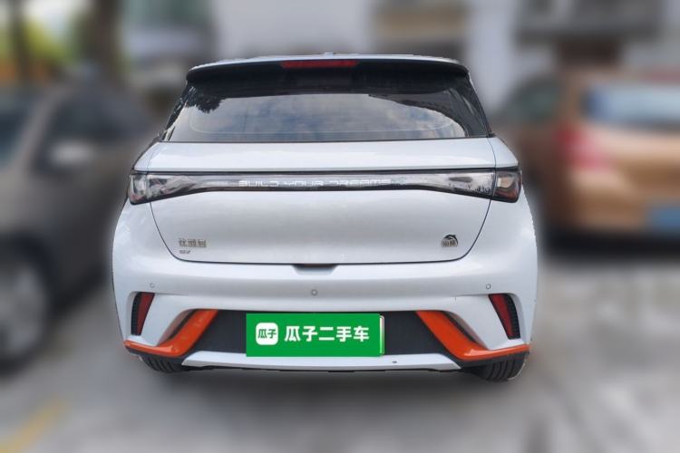 Used BYD Dolphin 2021 405 km Free Version Rear