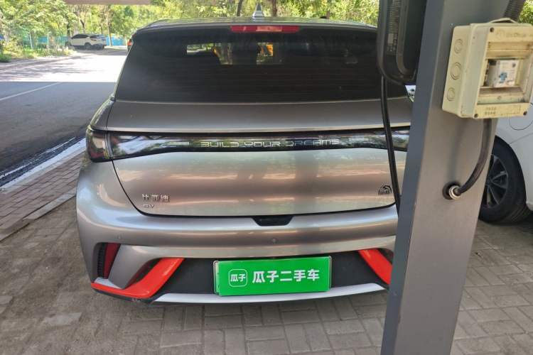 Used BYD Dolphin 2021 405 km Fashion Edition Rear