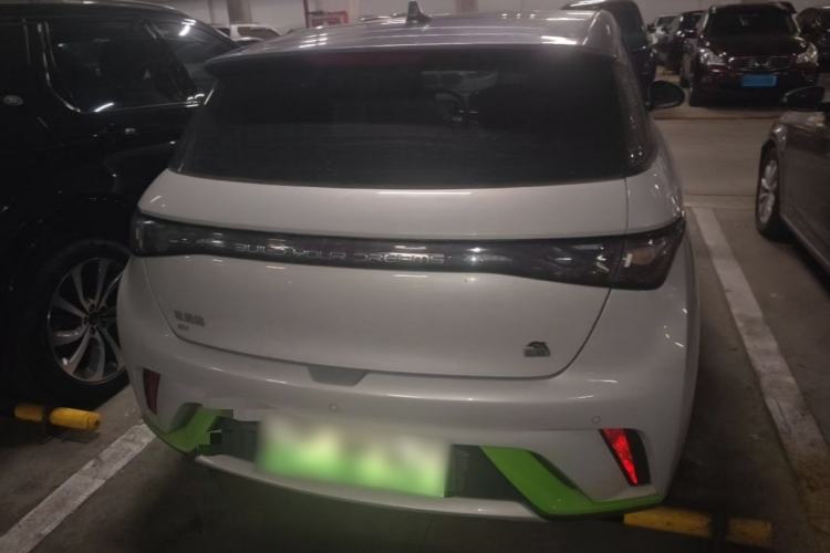 Used BYD Dolphin 2021 405 km Fashion Edition Rear