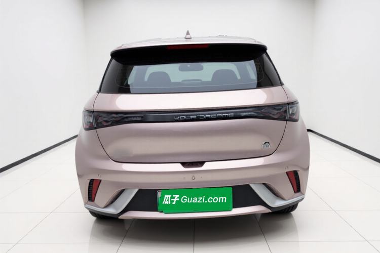Used BYD Dolphin 2021 405 km Free Version Rear