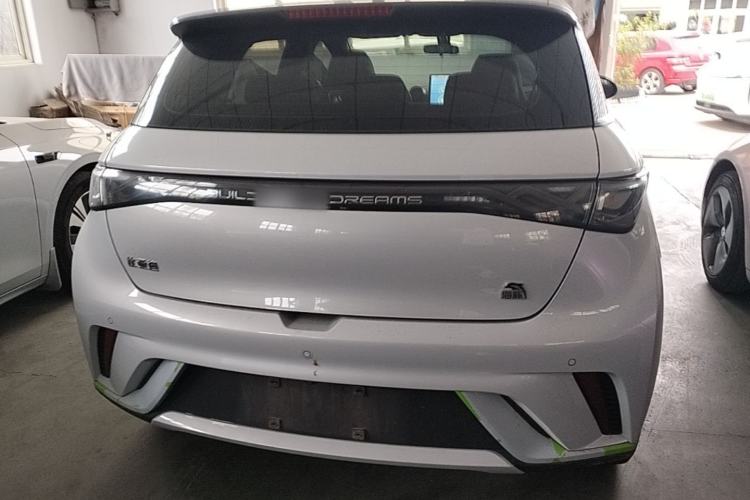 Used BYD Dolphin 2021 405 km Free Version Rear