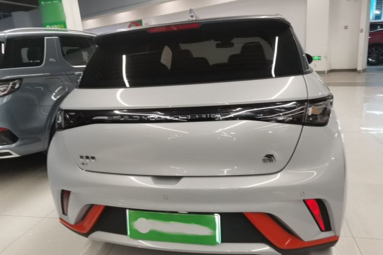 Used BYD Dolphin 2021 405 km Fashion Edition Rear