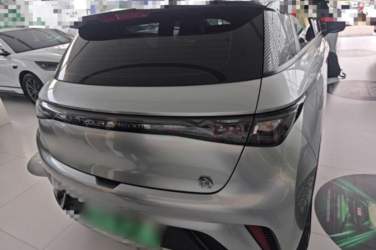 Used BYD Dolphin 2021 405 km Fashion Edition Rear